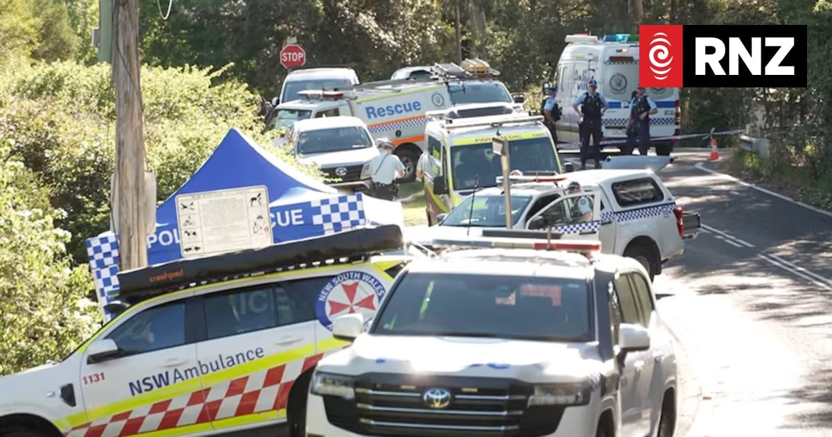 Australia's 'horrific' weekend: domestic violence deaths spark urgent calls for change