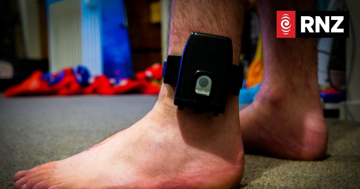 A Dunedin judge heard 'terror' in her voice. Now a family violence offender must wear a GPS ankle bracelet and stay out of the city.