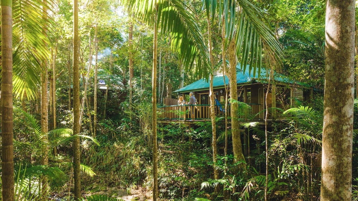Disconnecting in the Rainforest: A Digital Detox on the Sunshine Coast Hinterland
