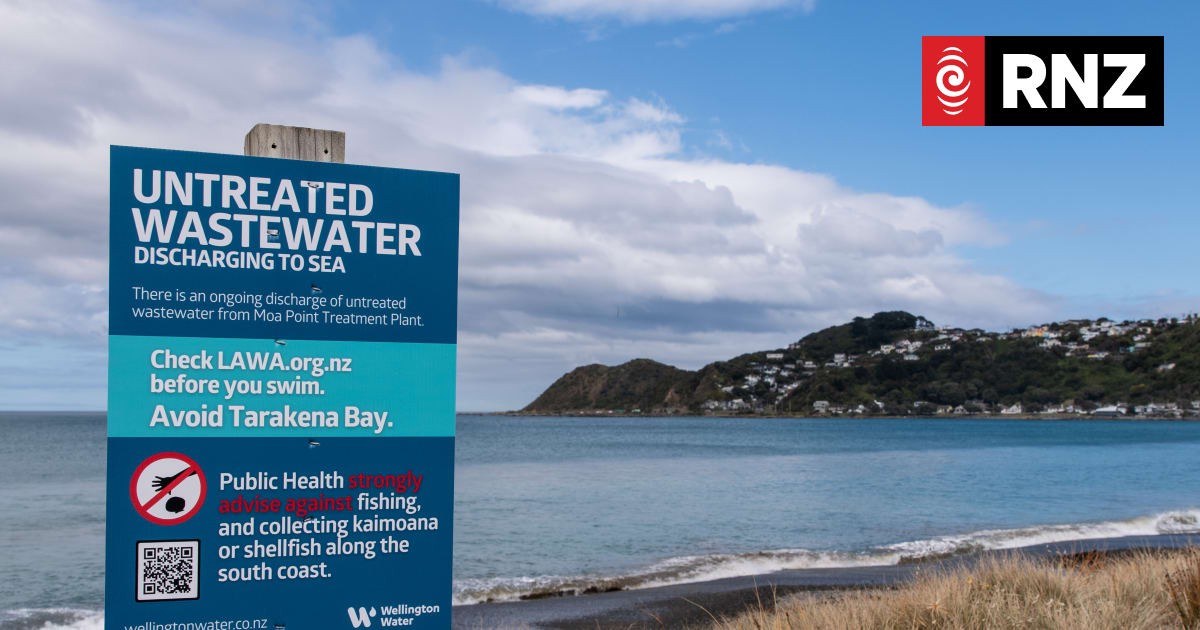Moa Point sewage crisis: Five floods preceded catastrophic spill, report shows
