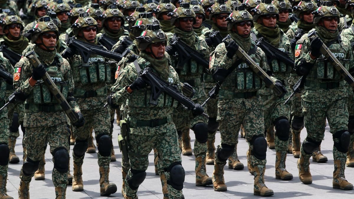 Avocado Wars: Mexico Sends 1,500 Troops to Protect a Global Superfood