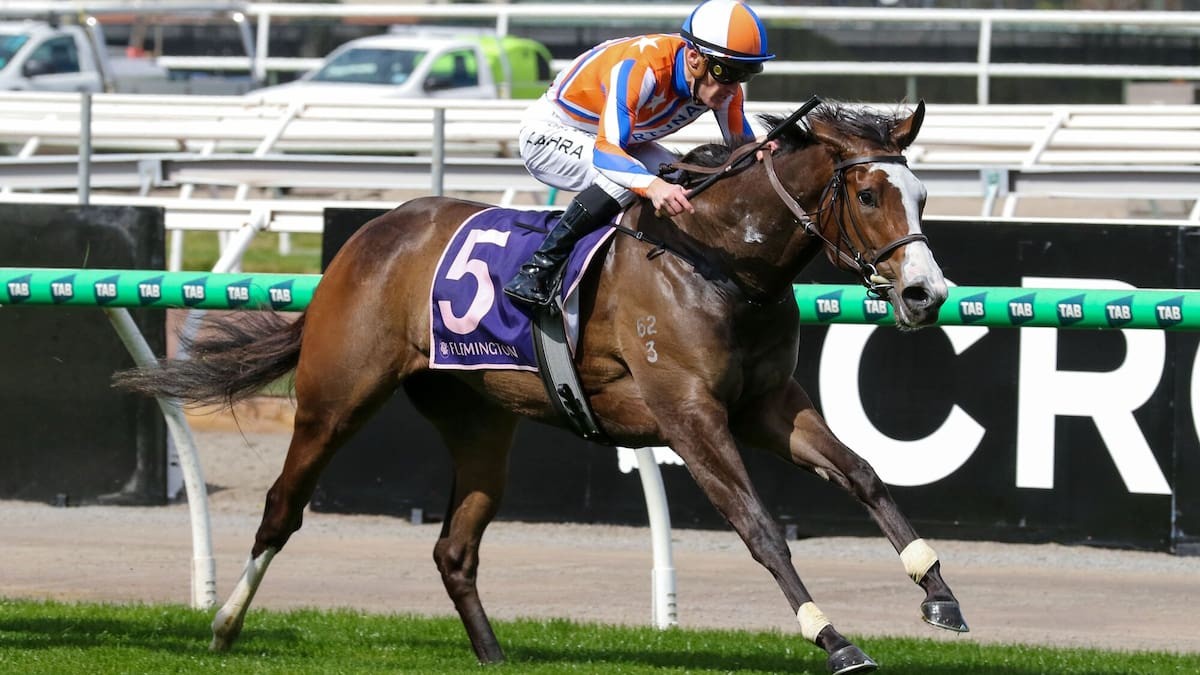 Kiwi champion Lara Antipova proves class is permanent with Flemington comeback win