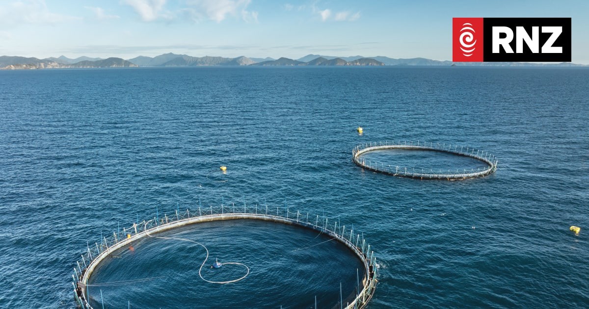NZ Aquaculture Eyes India as Free Trade Deal Kicks In